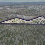 Thumbnail of 